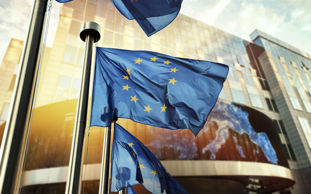 Artykuł – Przyszłość Europy: propozycje panelu obywatelskiego dla klimatu, środowiska i zdrowia